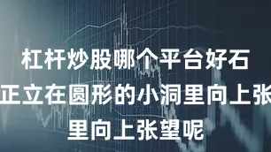 杠杆炒股哪个平台好石猴儿正立在圆形的小洞里向上张望呢