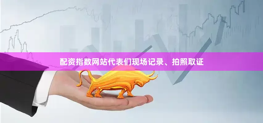 配资指数网站代表们现场记录、拍照取证
